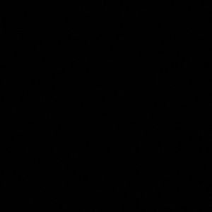 Meet your Posher, Anya